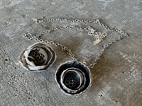 Image 12 of Paper Wasp Nest