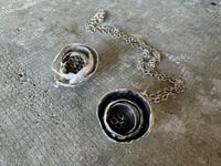 Image 13 of Paper Wasp Nest