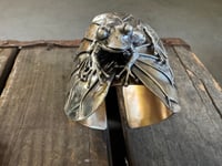 Image 9 of The Lily Pond Frog