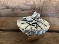 Image 10 of The Lily Pond Frog