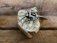 Image 17 of The Lily Pond Frog