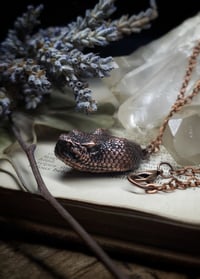 Image 2 of Rattlesnake Head Amulet