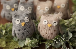 Image of Ollie Owl Lovie