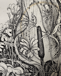 Image 9 of Woodland Plants by Heather and Robin Tanner signed special edition