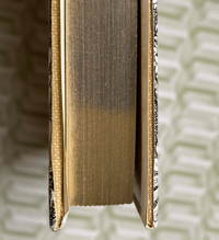 Image 4 of Woodland Plants by Heather and Robin Tanner signed special edition