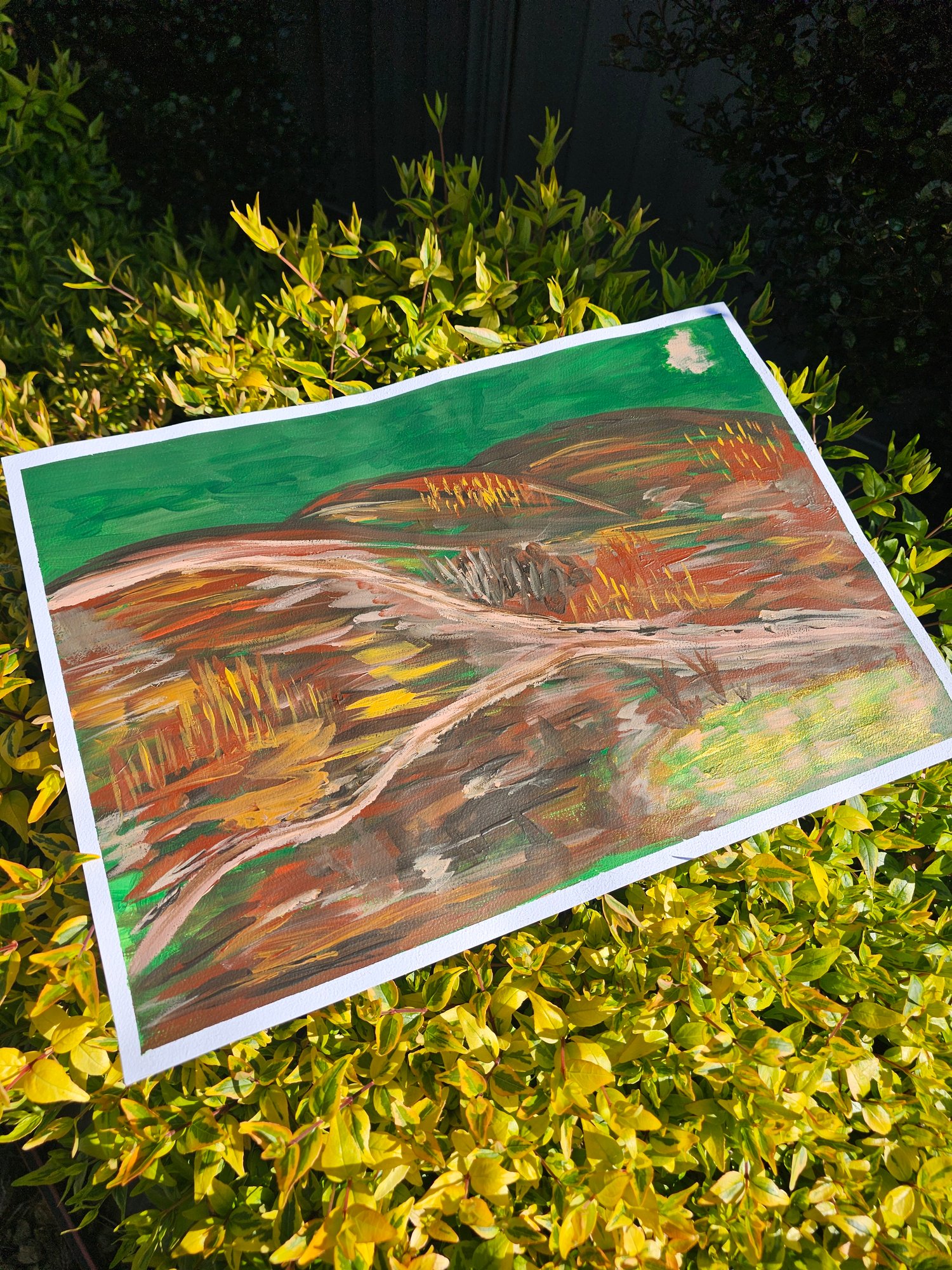 Image of The Fork in The Road