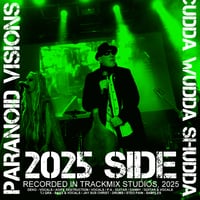 Image 1 of PARANOID VISIONS - 85|25  7" (White Vinyl)