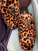 Image 5 of Mocasines Print