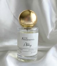 Image 1 of Abiding | Sensual Memory Wrapped In Leather