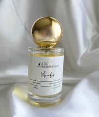 Image 1 of Manifest | Soft Life, But With Intention