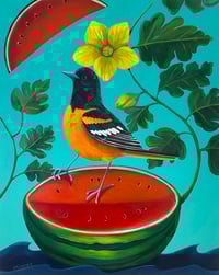Image 1 of Watermelon Dream (Baltimore Oriole)