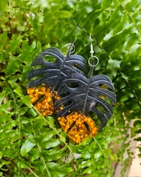 Image 1 of Halloween Monstera