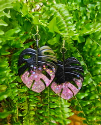 Image 2 of Halloween Monstera