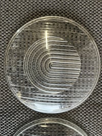 Bosch Headlight lenses pair 1 305 605 000