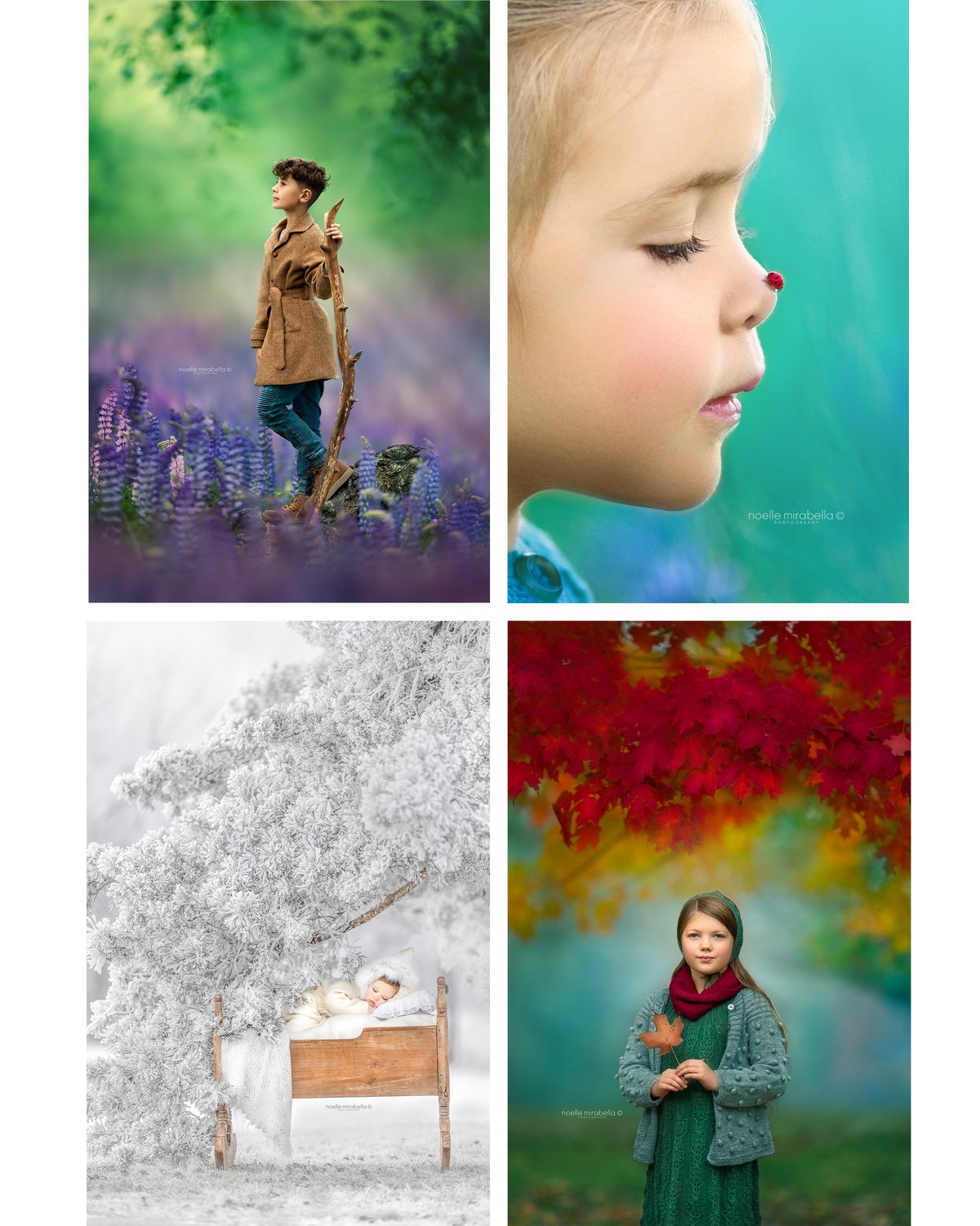 Image of Four Seasons Online Workshop: Feb 23rd - March 1st, 2026