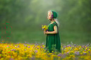 Image of Four Seasons Online Workshop: Feb 23rd - March 1st, 2026