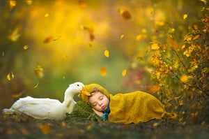 Image of Four Seasons Online Workshop: Feb 23rd - March 1st, 2026