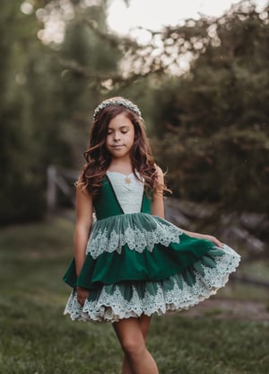 Image of Frosted Christmas Pre order Dress