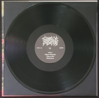 Image 3 of Filth - Time to Rot - LP