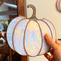 Image 2 of Citrouille ambre lunaire