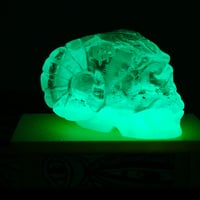 Image 2 of Horned skull - ghosts and haunts