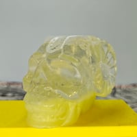 Image 4 of Horned skull - ghosts and haunts