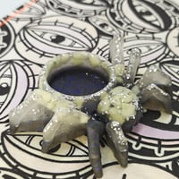 Image 1 of Spooder-last one!!!