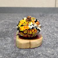 Image 1 of RESERVED for Sarah - LG. Festive Cobweb Pumpkin - Flamework glass sculpture