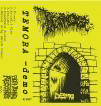 Image 1 of TEMORA - demo