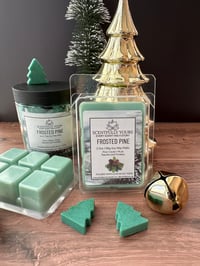 Image 3 of Frosted Pine