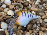 Image 6 of Custom Airbrushed S-CRANK 1.5 Squarebill Crankbait  904