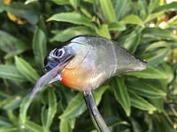 Image 9 of Custom Airbrushed S-CRANK 1.5 Squarebill Crankbait  925