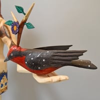 Image 4 of Beauty and the Birds
