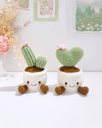 Image 2 of Cactus Pot