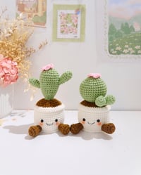 Image 3 of Cactus Pot