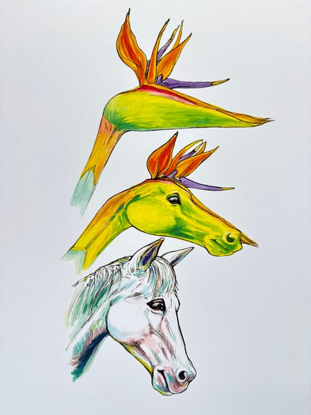 Image of Pony of Paradise 8”x10”