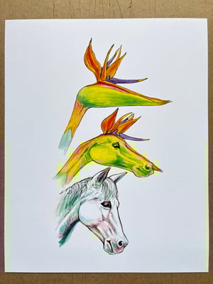 Image of Pony of Paradise 8”x10”