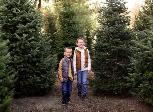 Image of SUNDAY, November 9, 2025-Tree Farm mini Sessions
