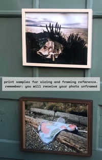 Image 2 of "Sun in Hand"