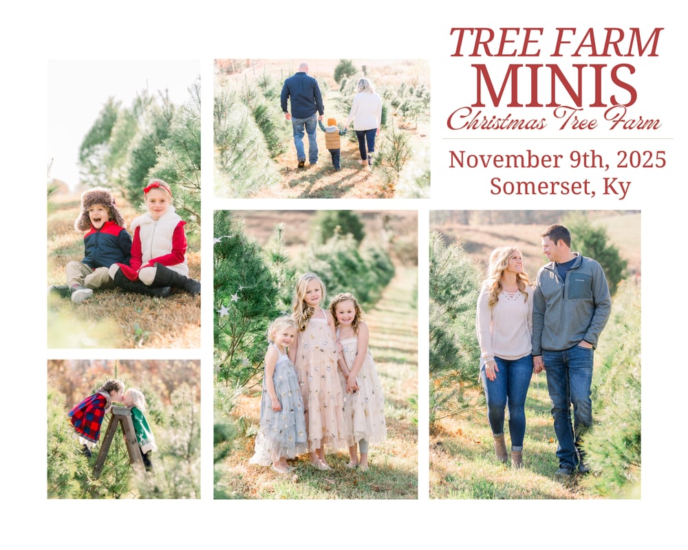 Image of Nov 9th | Christmas Tree Minis X Becca 