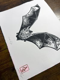 Image 2 of Dark Night