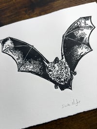 Image 3 of Dark Night