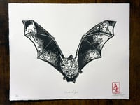 Image 1 of Dark Night