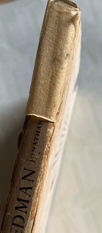 Image 2 of Barnettt Freedman by Jonathan Mayne