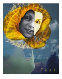Tess