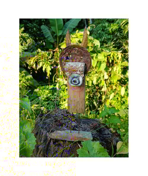 Image of CREATURE FROM THE FOREST