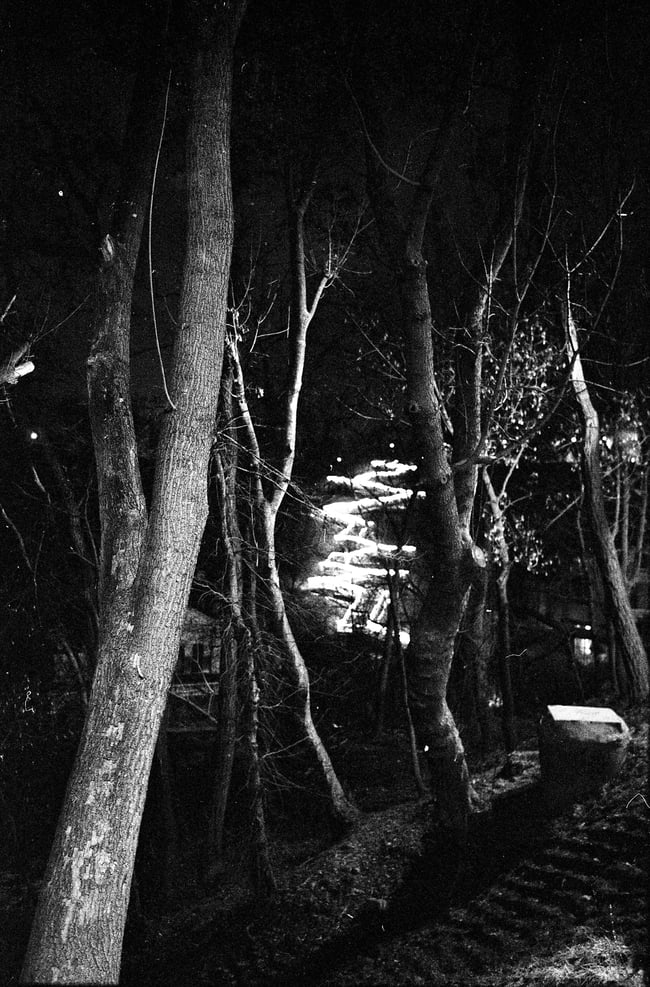 Pre-Order: Bogdan Gulyay. The field study of Ukrainian erotic.