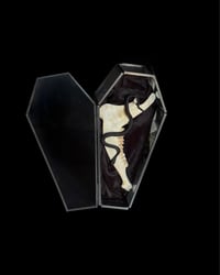 Image 2 of Unterkiefer Reh in Glassarg