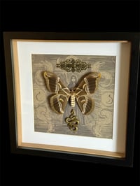 Image 2 of Samia Cynthia - 20x20cm