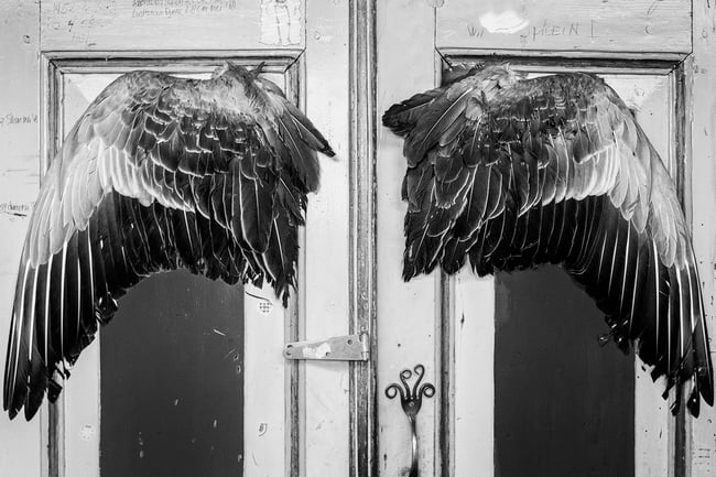 Pre-Order: Ingeborg Everaerd. At Sea I Dream of Land, On Land I Dream of Sea.